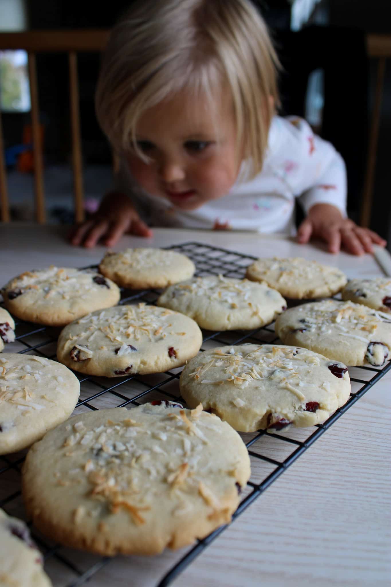 cranberry coconut sprits cookies