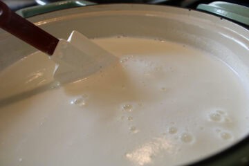 Homemade Yogurt