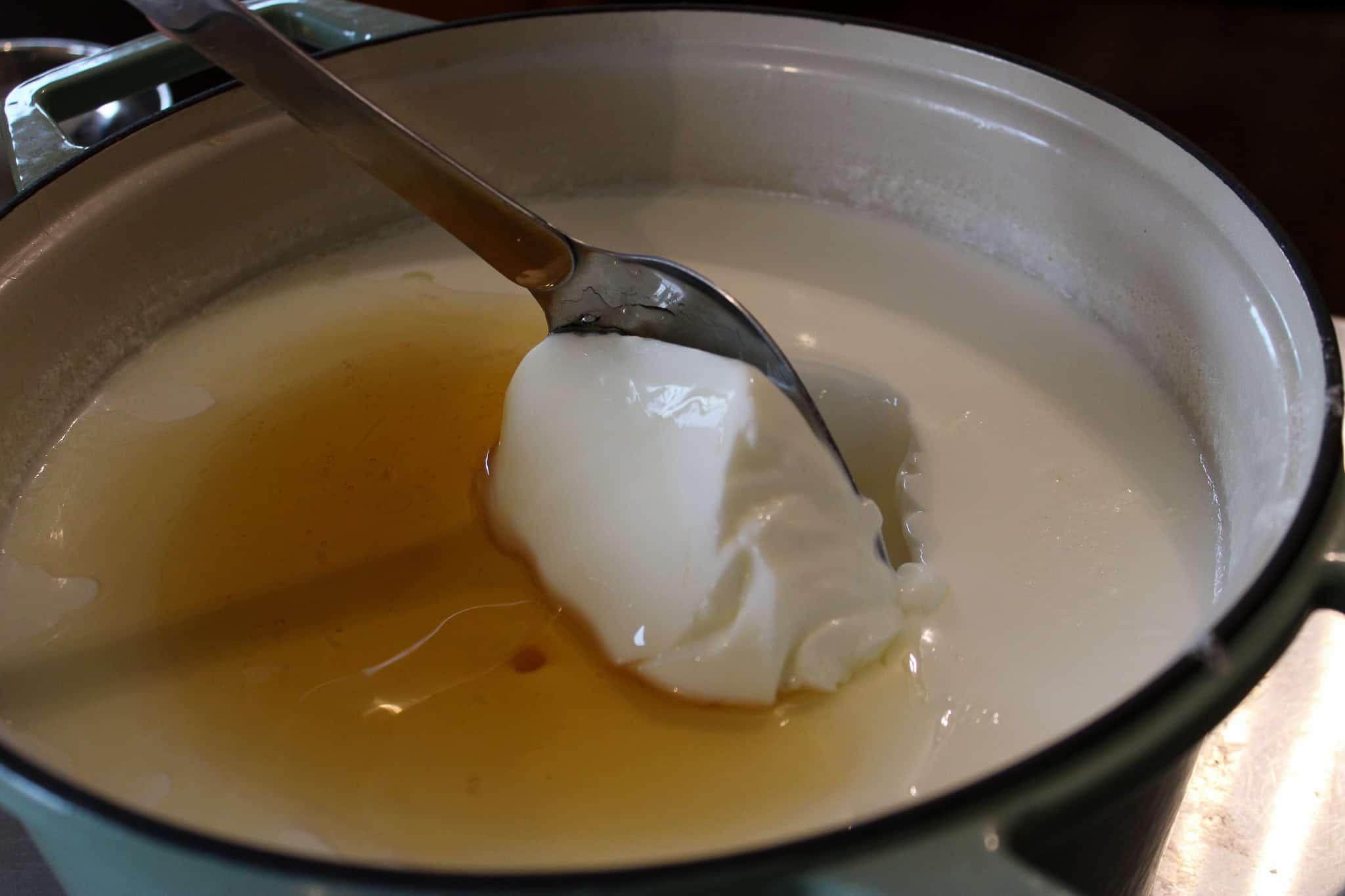 Homemade Yogurt