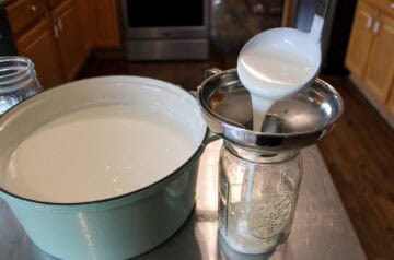 Homemade Yogurt