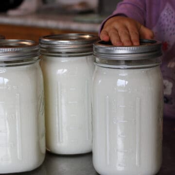 Homemade Yogurt