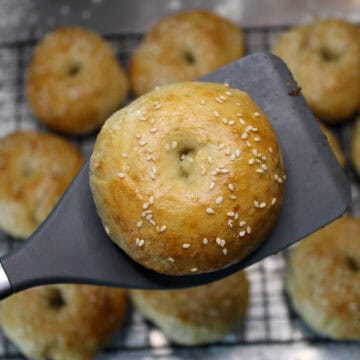 Homemade Bagels